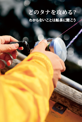 どのタナを攻める?